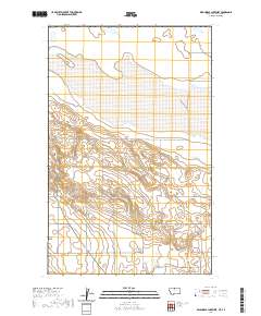 USGS US Topo 7.5-minute map for Wild Horse Lake West MTAB 2020