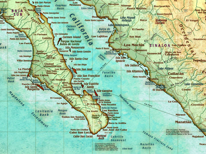 Antique Style Wall Map of Mexico