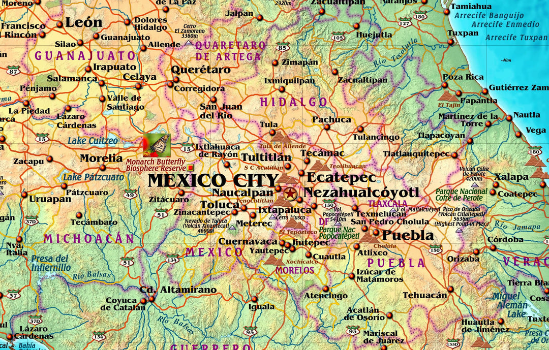 Decorative Wall Map of Mexico