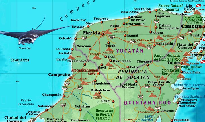 Decorative Wall Map of Mexico