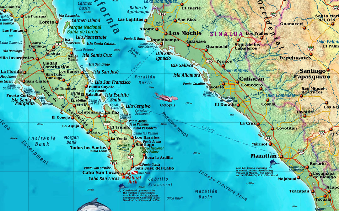 Decorative Wall Map of Mexico