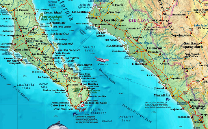 Decorative Wall Map of Mexico