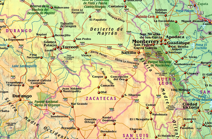 Decorative Wall Map of Mexico