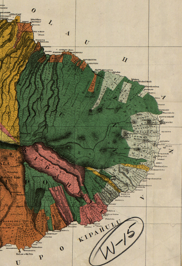 Maui, Hawaiian Islands, 1885