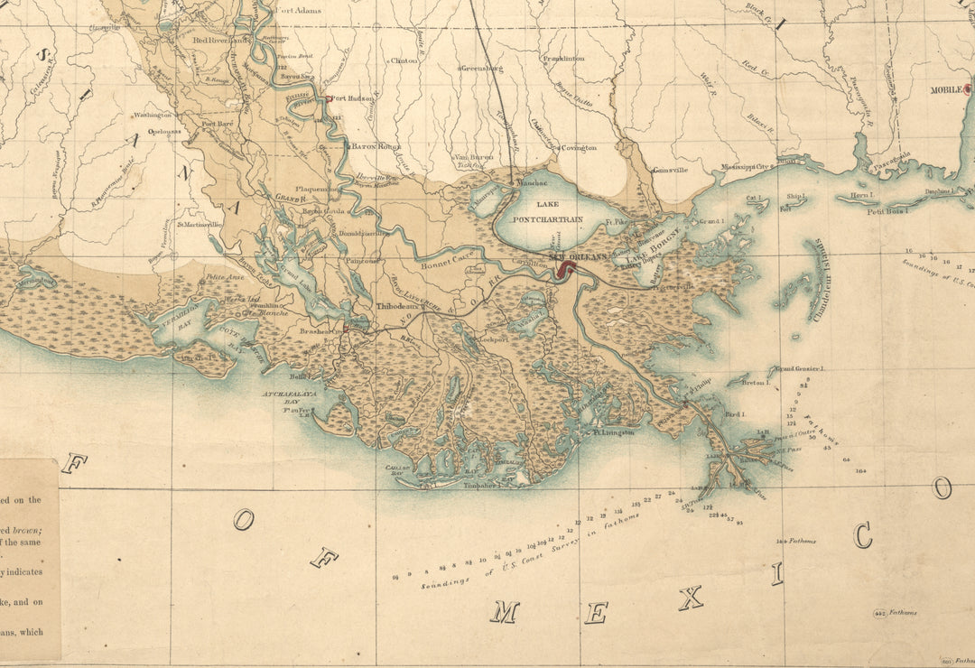 Map of the Alluvial Region of the Mississippi, 1861
