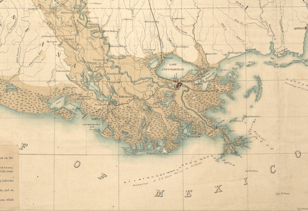 Map of the Alluvial Region of the Mississippi, 1861