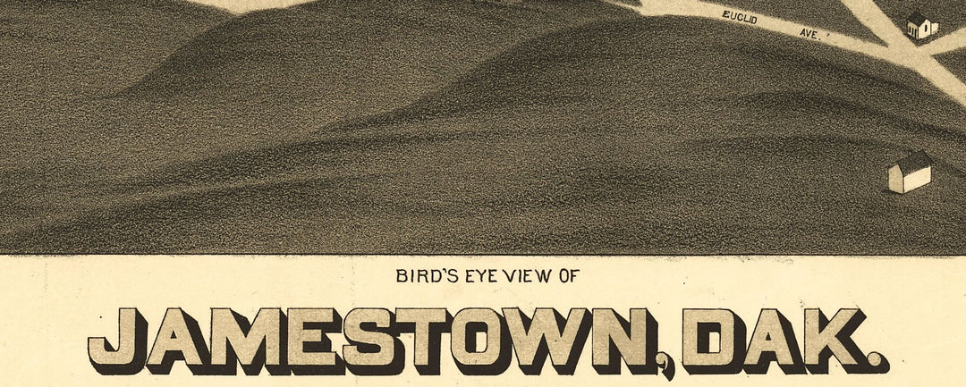 Bird&