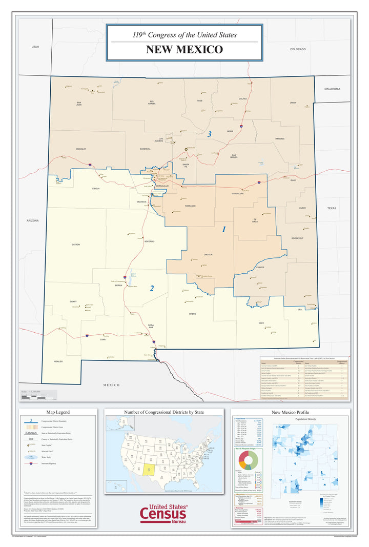 New Mexico Congressional District Wall Map