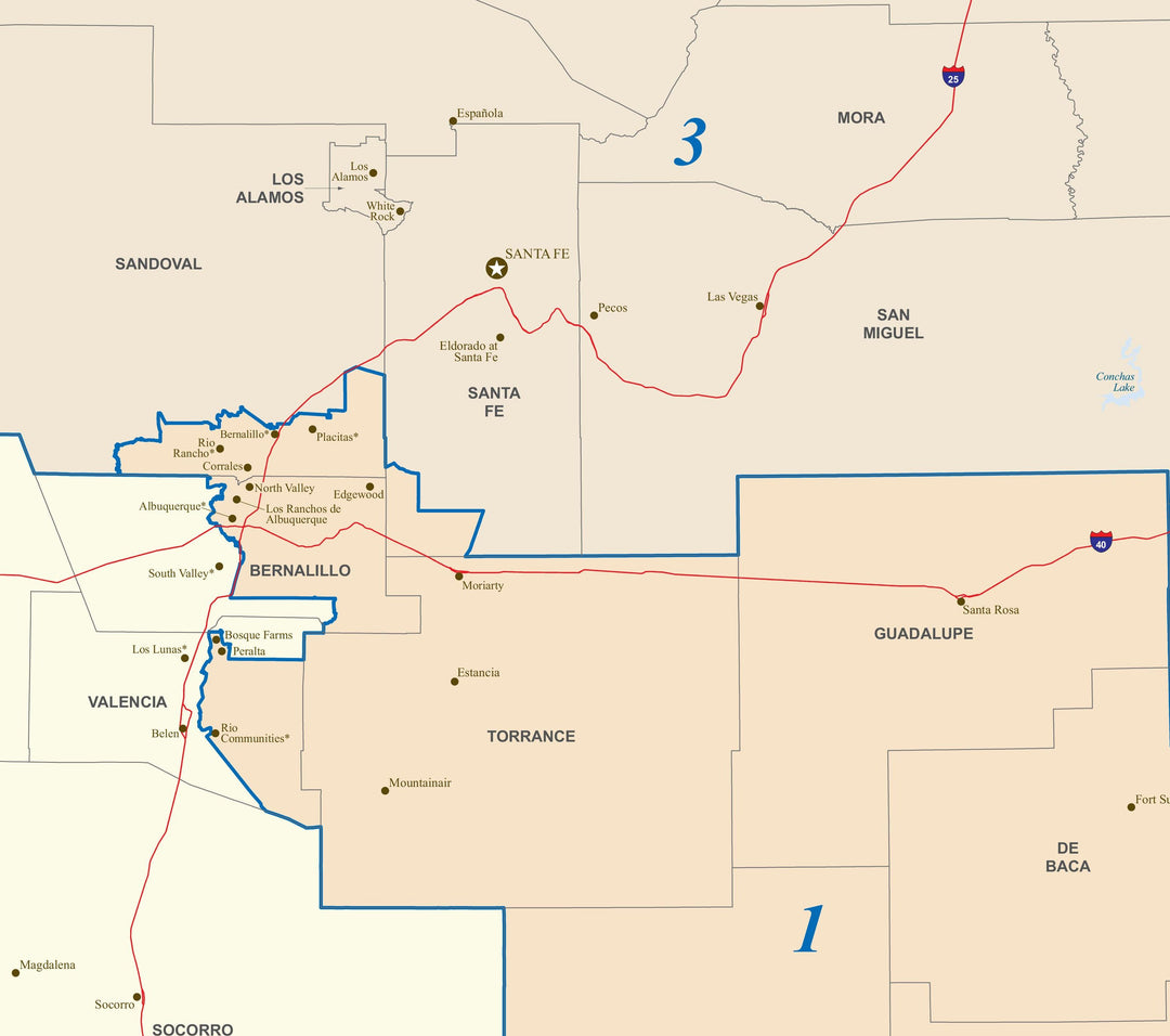 New Mexico Congressional District Wall Map