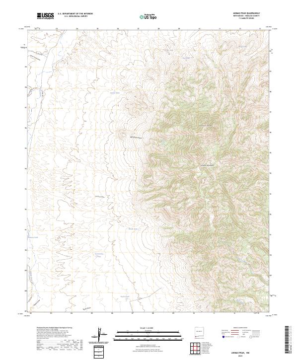 US Topo 7.5-minute map for Animas Peak NM
