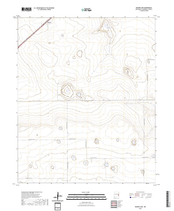 US Topo 7.5-minute map for Badger Lake NM