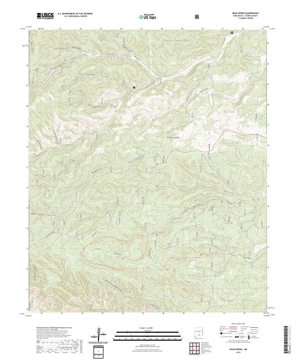 US Topo 7.5-minute map for Bear Spring NM