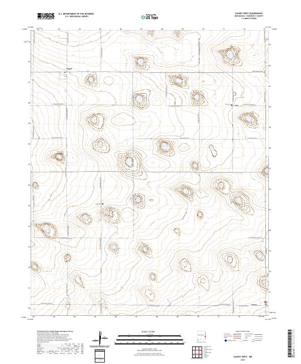 US Topo 7.5-minute map for Causey West NM