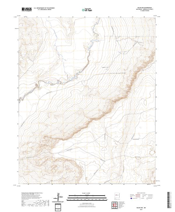 US Topo 7.5-minute map for Dalies NW NM