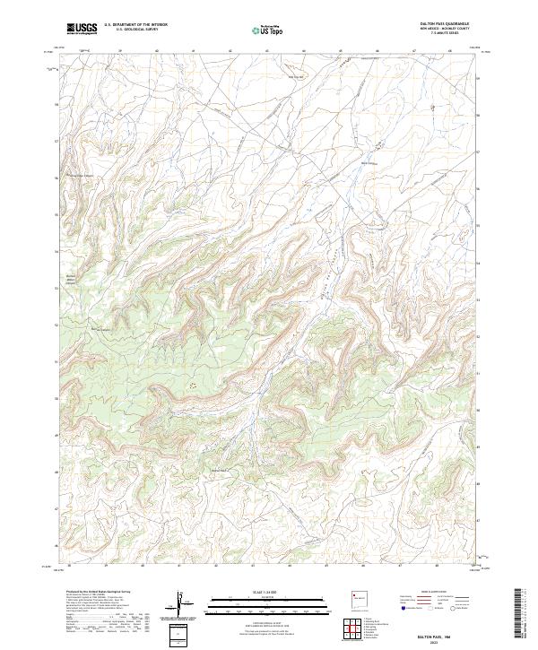 US Topo 7.5-minute map for Dalton Pass NM