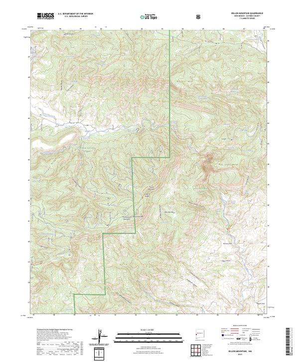 US Topo 7.5-minute map for Dillon Mountain NM