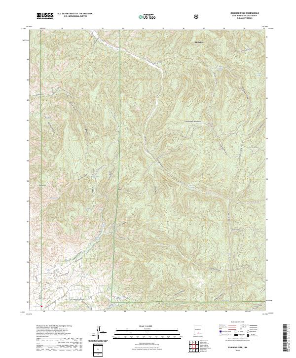 US Topo 7.5-minute map for Domingo Peak NM