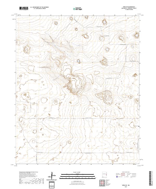US Topo 7.5-minute map for Dora SW NM