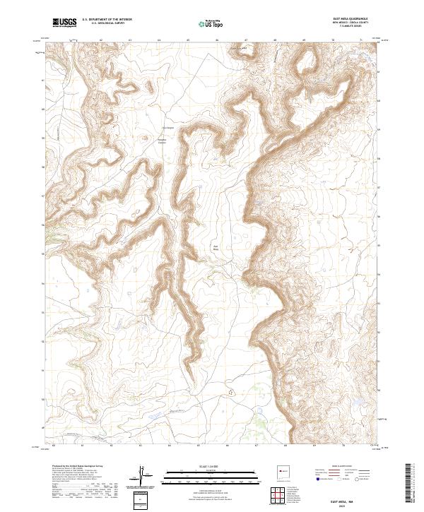 US Topo 7.5-minute map for East Mesa NM