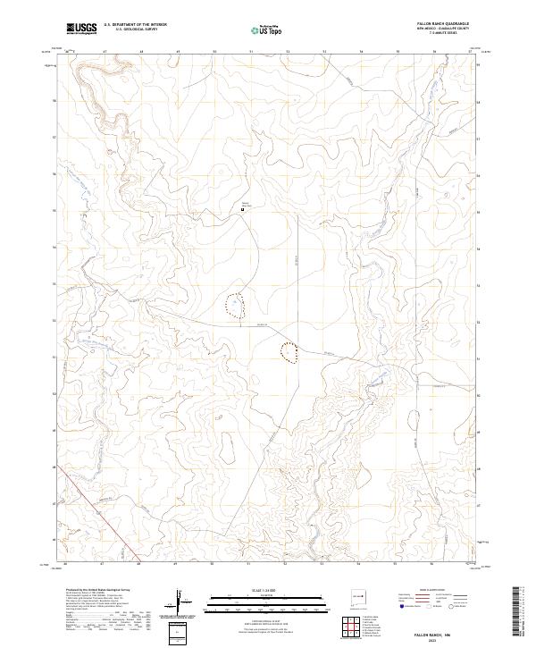 US Topo 7.5-minute map for Fallon Ranch NM