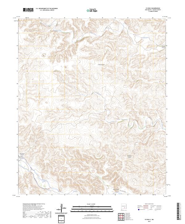 US Topo 7.5-minute map for Flying H NM