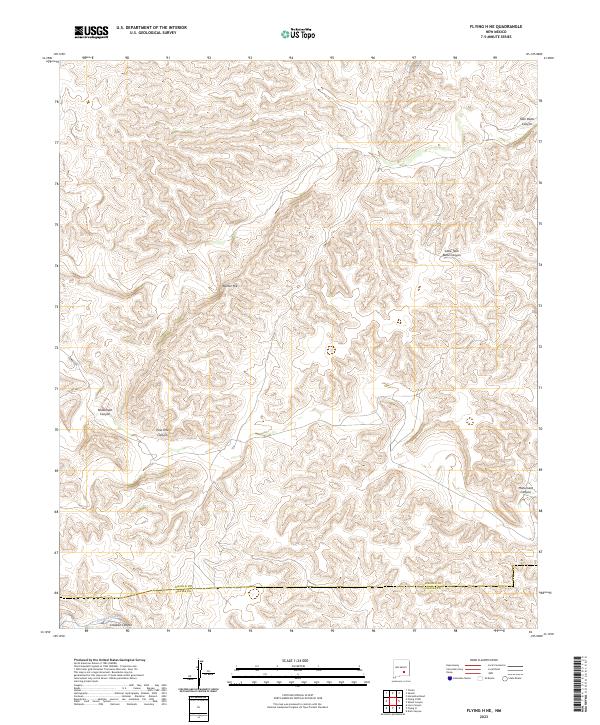 US Topo 7.5-minute map for Flying H NE NM