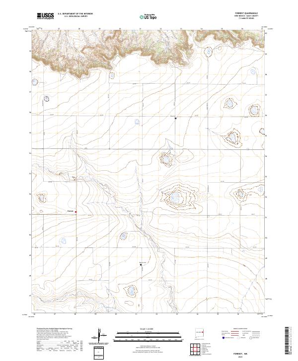 US Topo 7.5-minute map for Forrest NM