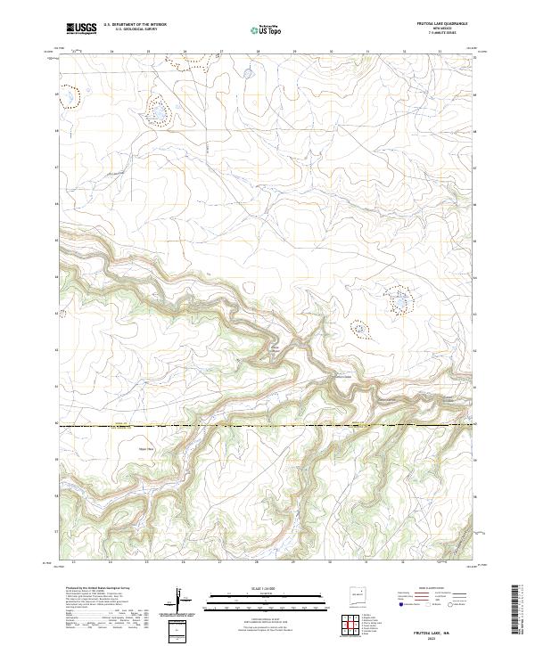 US Topo 7.5-minute map for Frutosa Lake NM