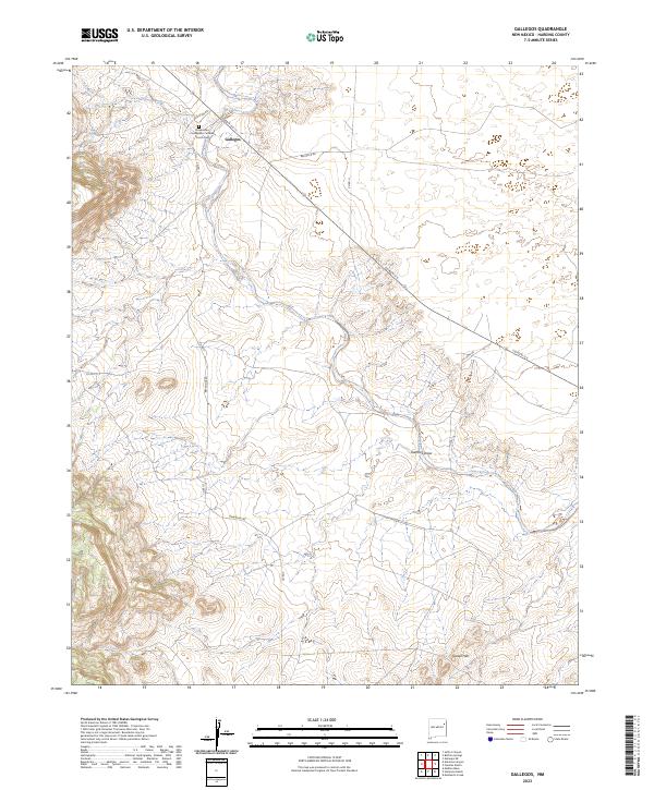 US Topo 7.5-minute map for Gallegos NM