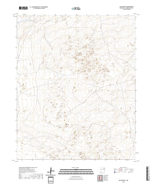 US Topo 7.5-minute map for Gallegos NE NM
