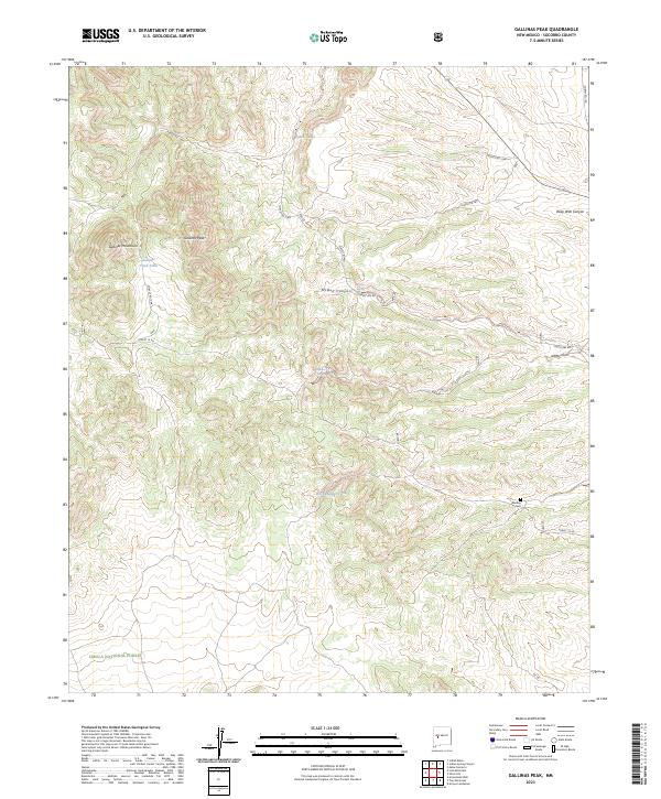 US Topo 7.5-minute map for Gallinas Peak NM