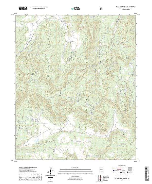 US Topo 7.5-minute map for Gallo Mountains East NM