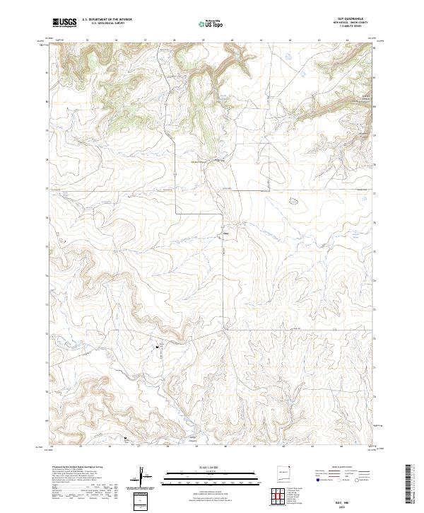 US Topo 7.5-minute map for Guy NM