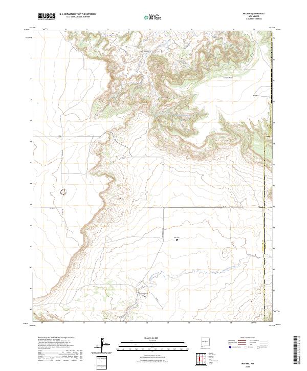 US Topo 7.5-minute map for Ima NW NM