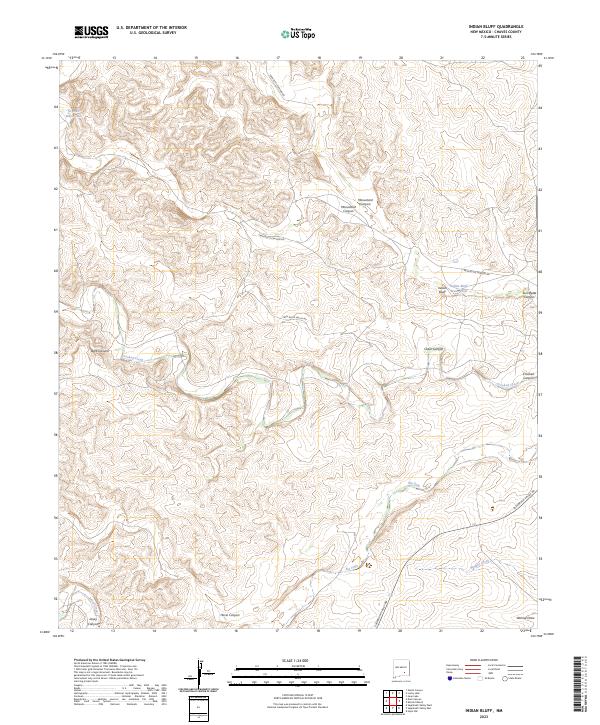 US Topo 7.5-minute map for Indian Bluff NM