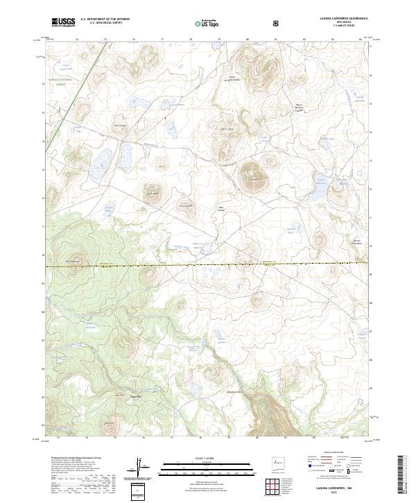 US Topo 7.5-minute map for Laguna Canoneros NM