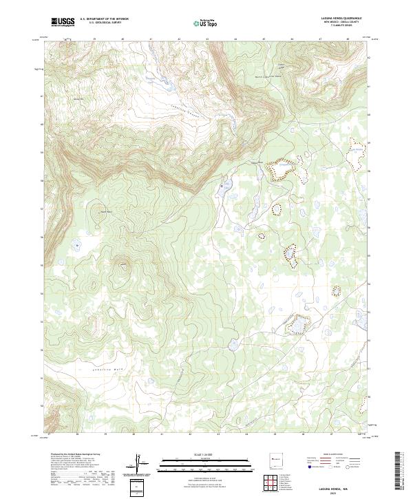 US Topo 7.5-minute map for Laguna Honda NM