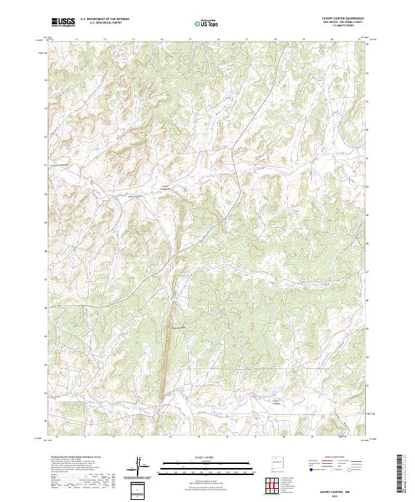 US Topo 7.5-minute map for Leavry Canyon NM