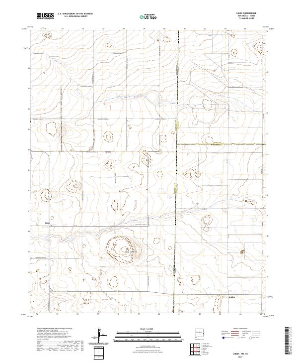 US Topo 7.5-minute map for Lingo NMTX