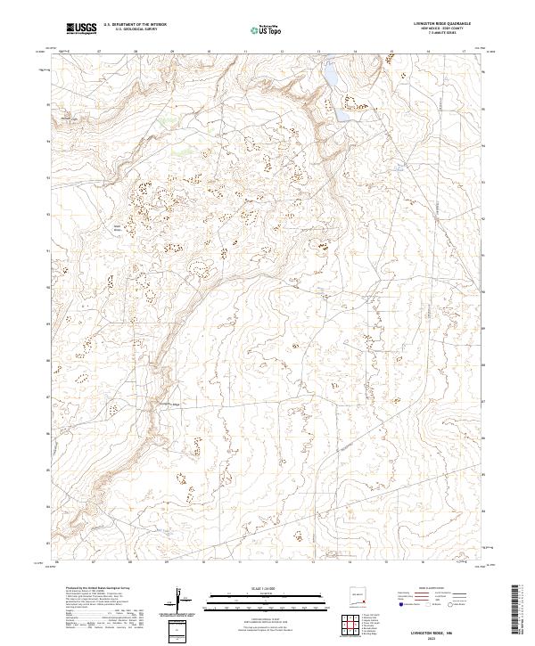 US Topo 7.5-minute map for Livingston Ridge NM