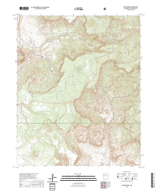 US Topo 7.5-minute map for Lobo Springs NM