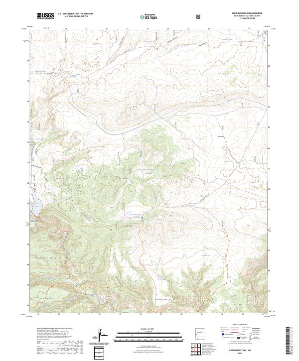 US Topo 7.5-minute map for Loco Mountain NM