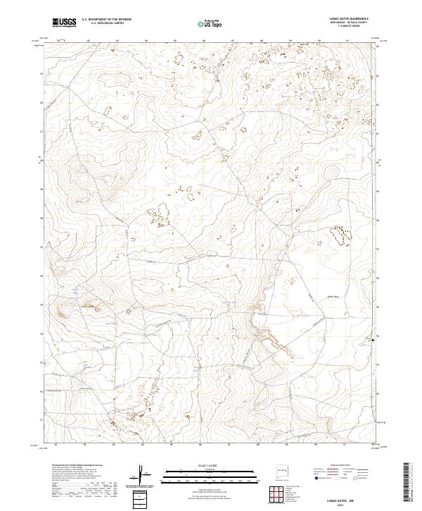 US Topo 7.5-minute map for Lomas Gatos NM