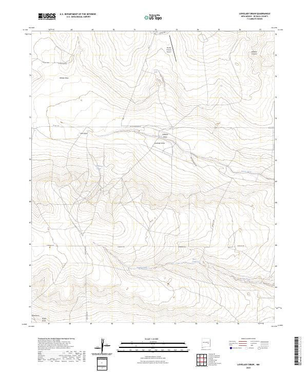 US Topo 7.5-minute map for Lovelady Draw NM