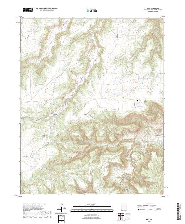 US Topo 7.5-minute map for Maes NM