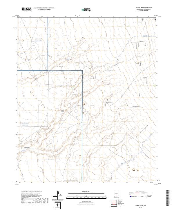 US Topo 7.5-minute map for Malone Draw NM