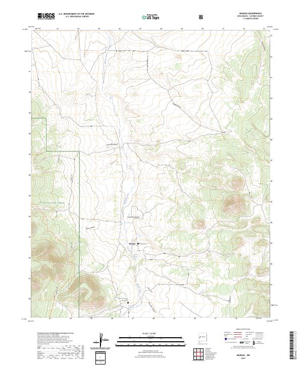 US Topo 7.5-minute map for Mangas NM