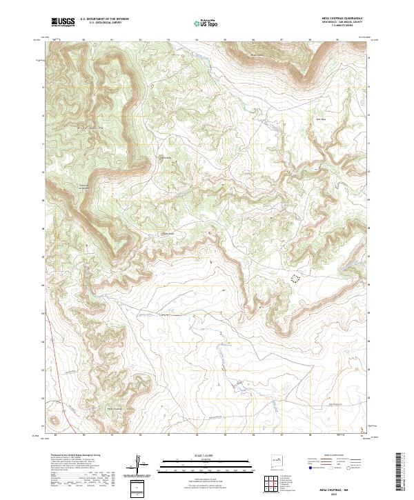 US Topo 7.5-minute map for Mesa Chupinas NM