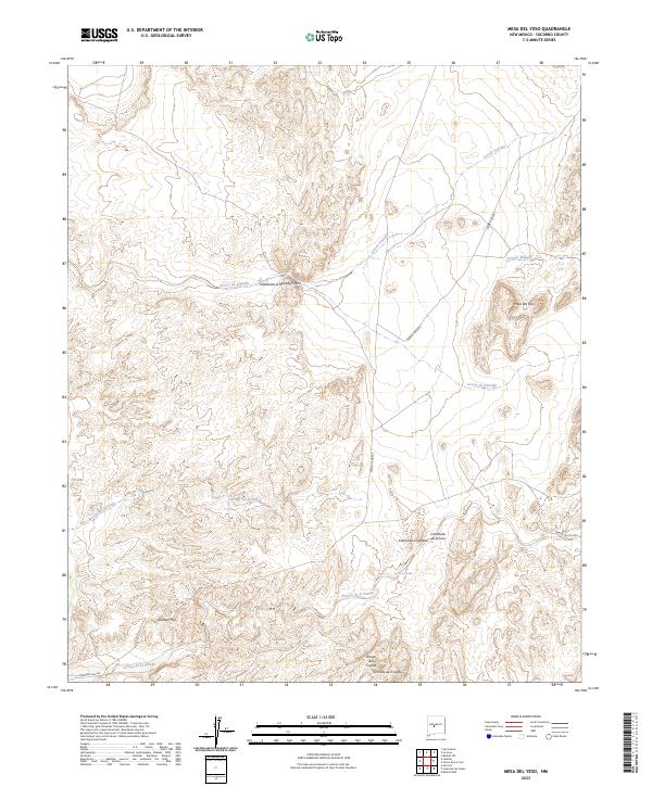 US Topo 7.5-minute map for Mesa Del Yeso NM