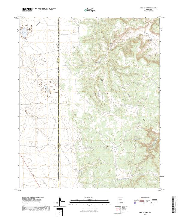 US Topo 7.5-minute map for Mesa El Toro NM